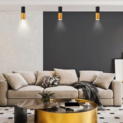 Stropní moderní kulaté světlo TUBA - 1xGU10, 15W, 5,8x20cm, černé / zlaté