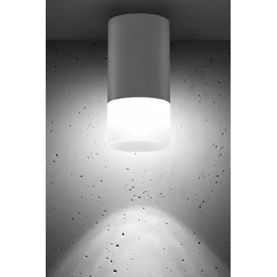 Stropní moderní osvětlení TUBA - 1xGU10, 50W, 6,4x13cm, kulaté, šedé