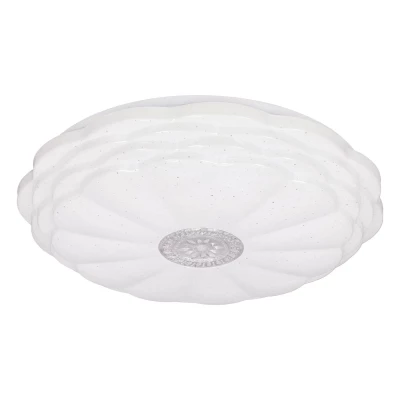 LED stropní kulaté svítidlo VICTUS - 24W, 4000K (denní bílá), 38cm, bílé