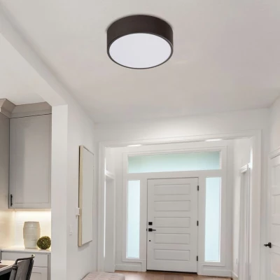 Stropní LED přisazené svítidlo ZIGO - 10W, 6500K (studená bílá), wenge