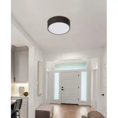Stropní LED přisazené svítidlo ZIGO - 10W, 6500K (studená bílá), wenge