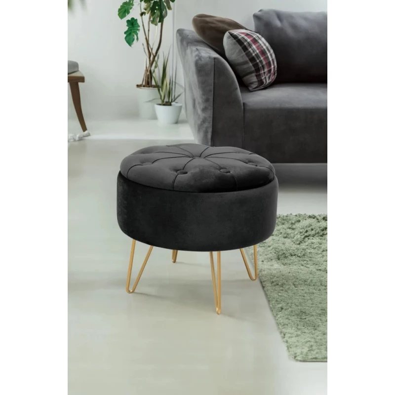 Elegantní taburet DRAVIEN s úložným prostorem - černý / zlatý