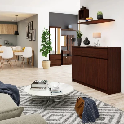 Komoda se šuplíky a dvířky SAVRILA - wenge