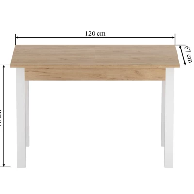 Rozkládací jídelní stůl 120(160)x67 cm KONIAS - zlatý dub craft / bílý
