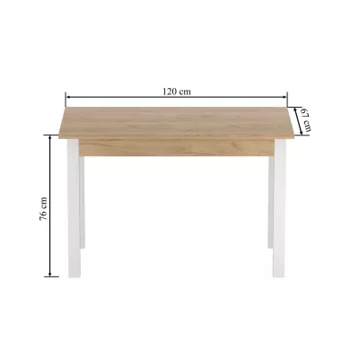 Rozkládací jídelní stůl 120(160)x67 cm KONIAS - zlatý dub craft / bílý