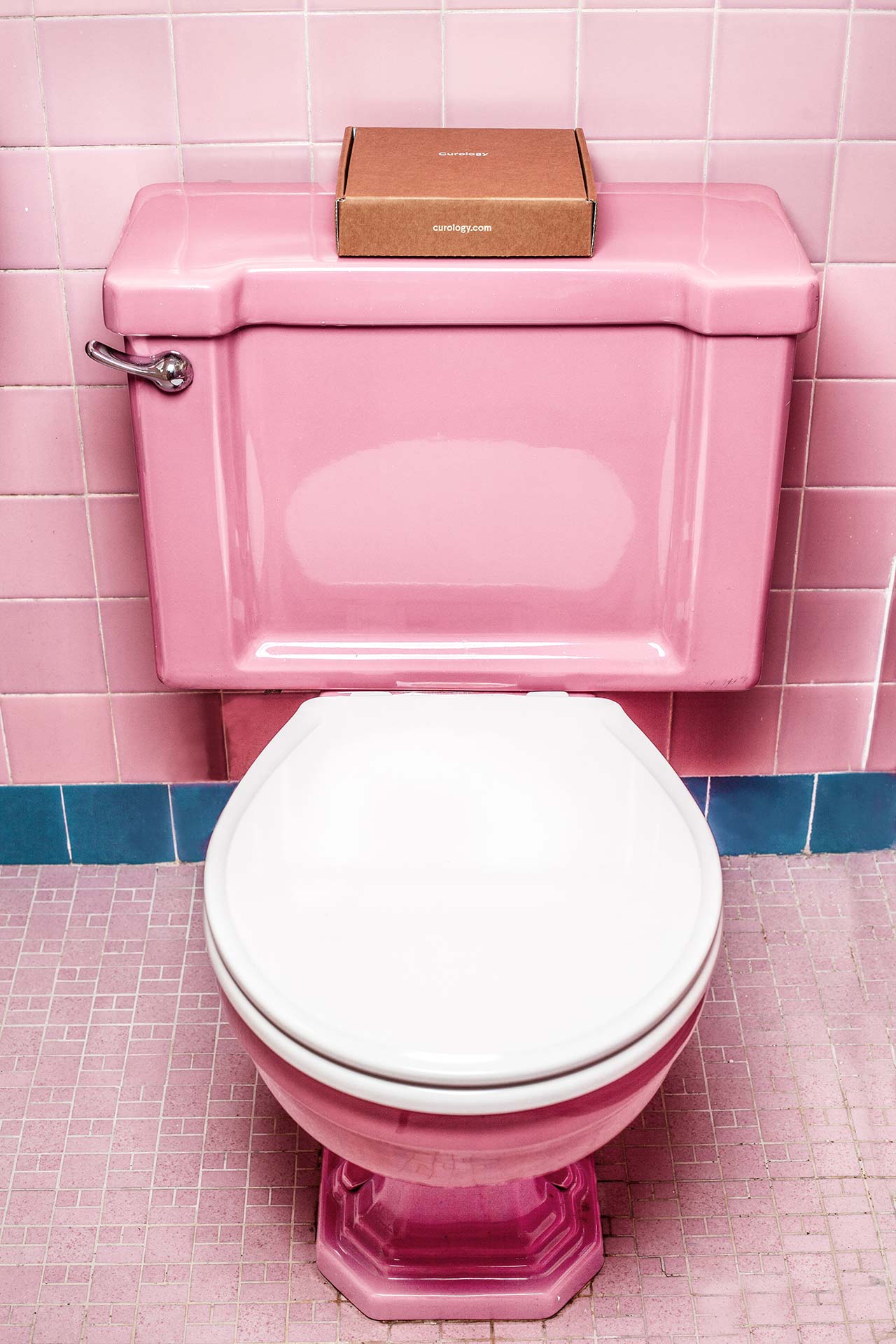 Růžový záchod pro opravdové fanoušky růžové