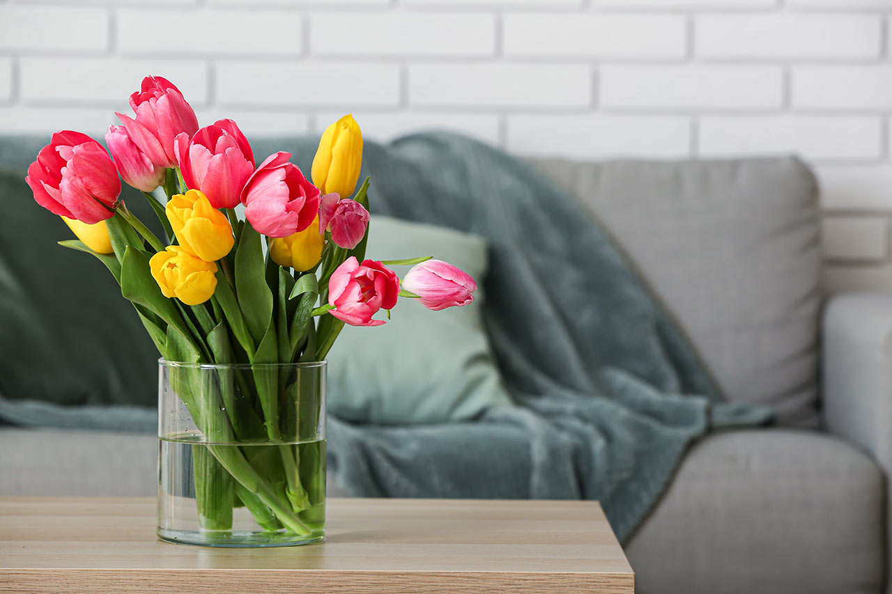 Tulipány jsou ikonické květiny, které neodmyslitelně patří k jaru. Udělají dokonalou atmosféru