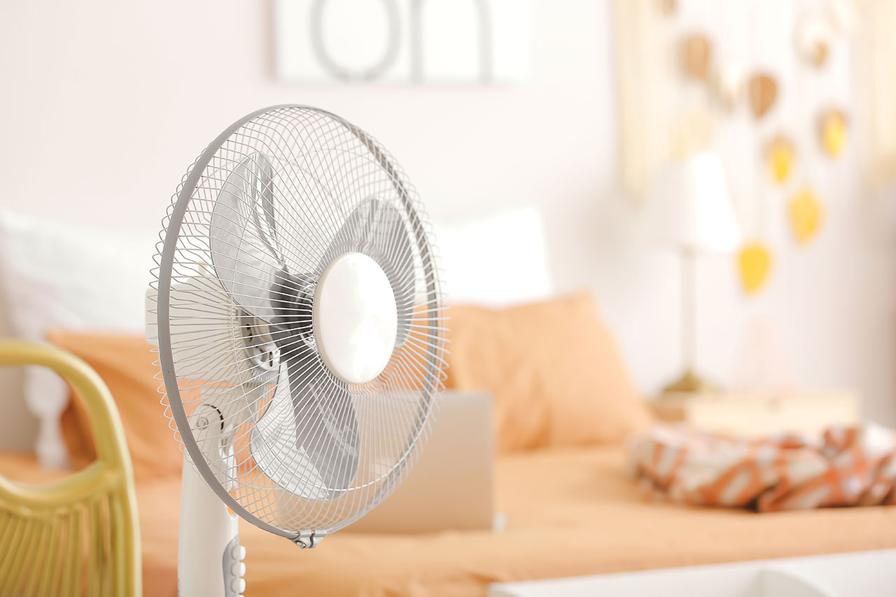 Když se rozhodnete používat ventilátor, vyberte si co nejtišší model. Oceníte to při ochlazování v noci i při horkém letním poledni, kdy si budete chtít po obědě u ventilátoru na chvíli zdřímnout.